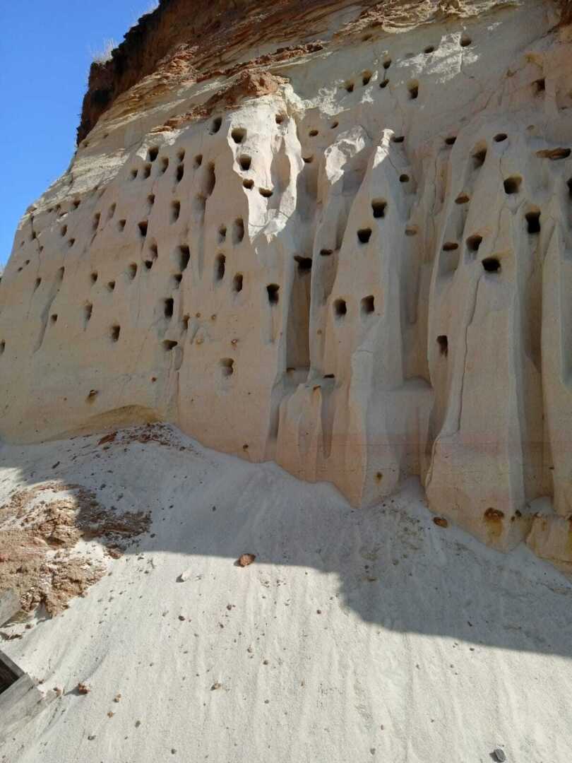 Мои родные красивые и необычные места: ласточкины гнезда в песчаном карьере, интересная экскурсия и красивые фотографии.