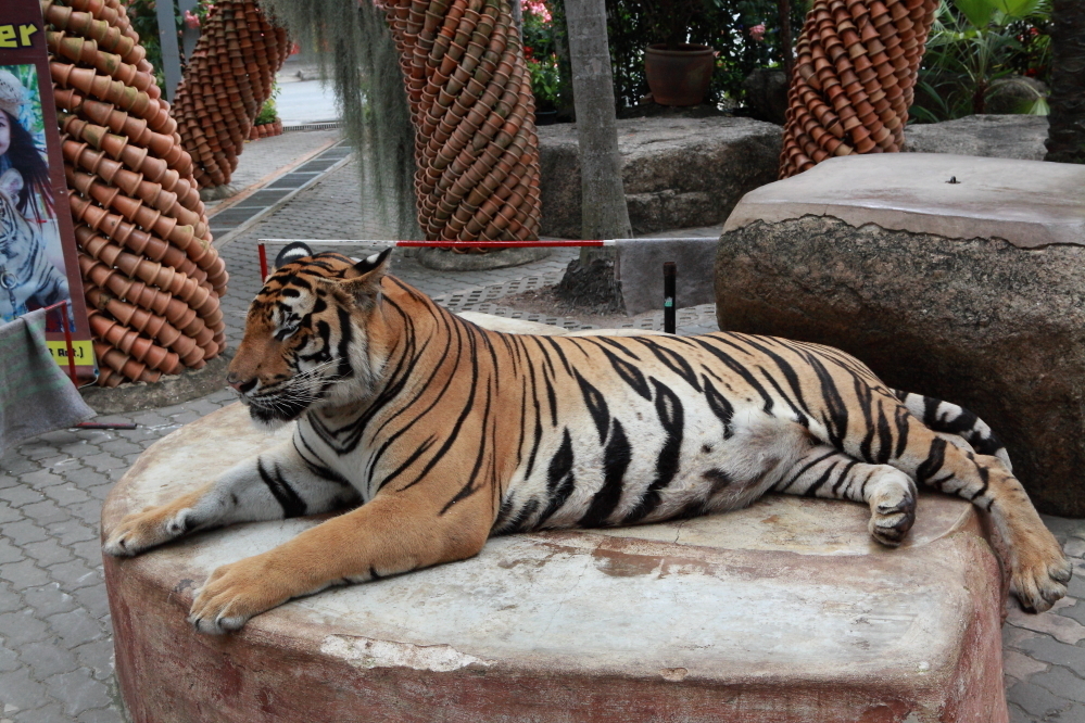 Азиатский Версаль в сердце Таиланда. Знаменитый парк мадам Нонг Нуч. Мы окунулись в настоящую сказку