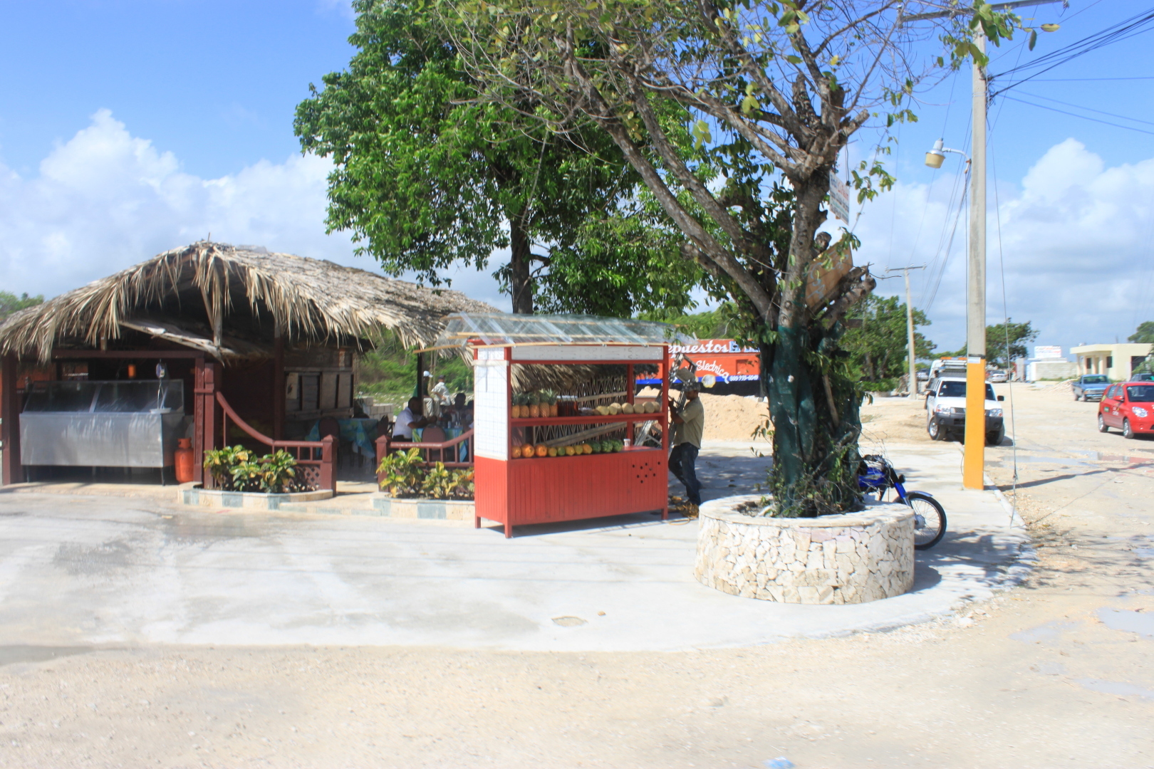 Мое путешествие в Доминиканский рай: перелет на кукурузнике, шикарный водопад, катание на лошадях, местный колорит. Фотообзор. Часть 2