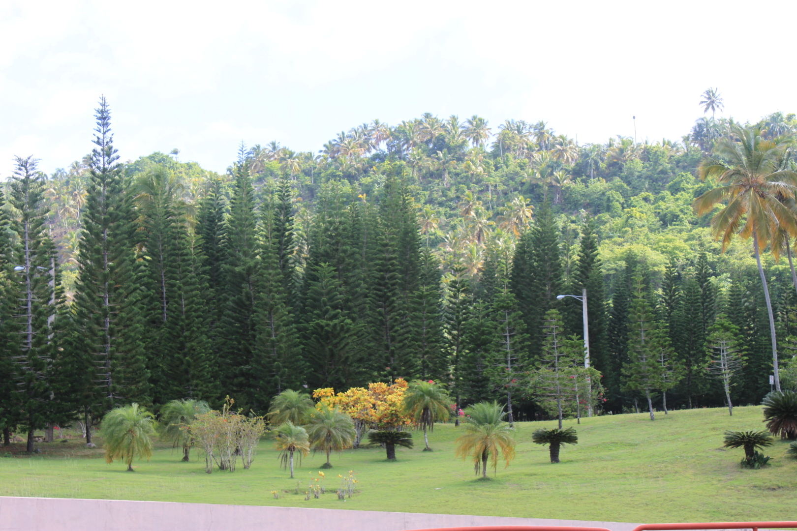 Мое путешествие в Доминиканский рай: перелет на кукурузнике, шикарный водопад, катание на лошадях, местный колорит. Фотообзор. Часть 2