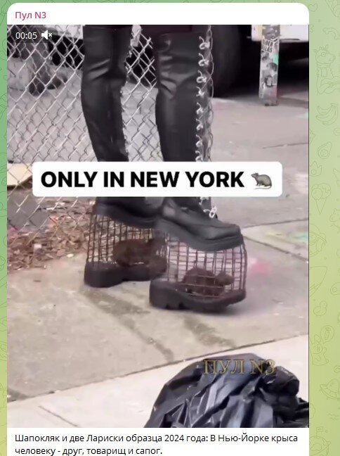 Там где правит капитал: Ужасающая тенденция западной моды, от которой нужно защитить Россию.