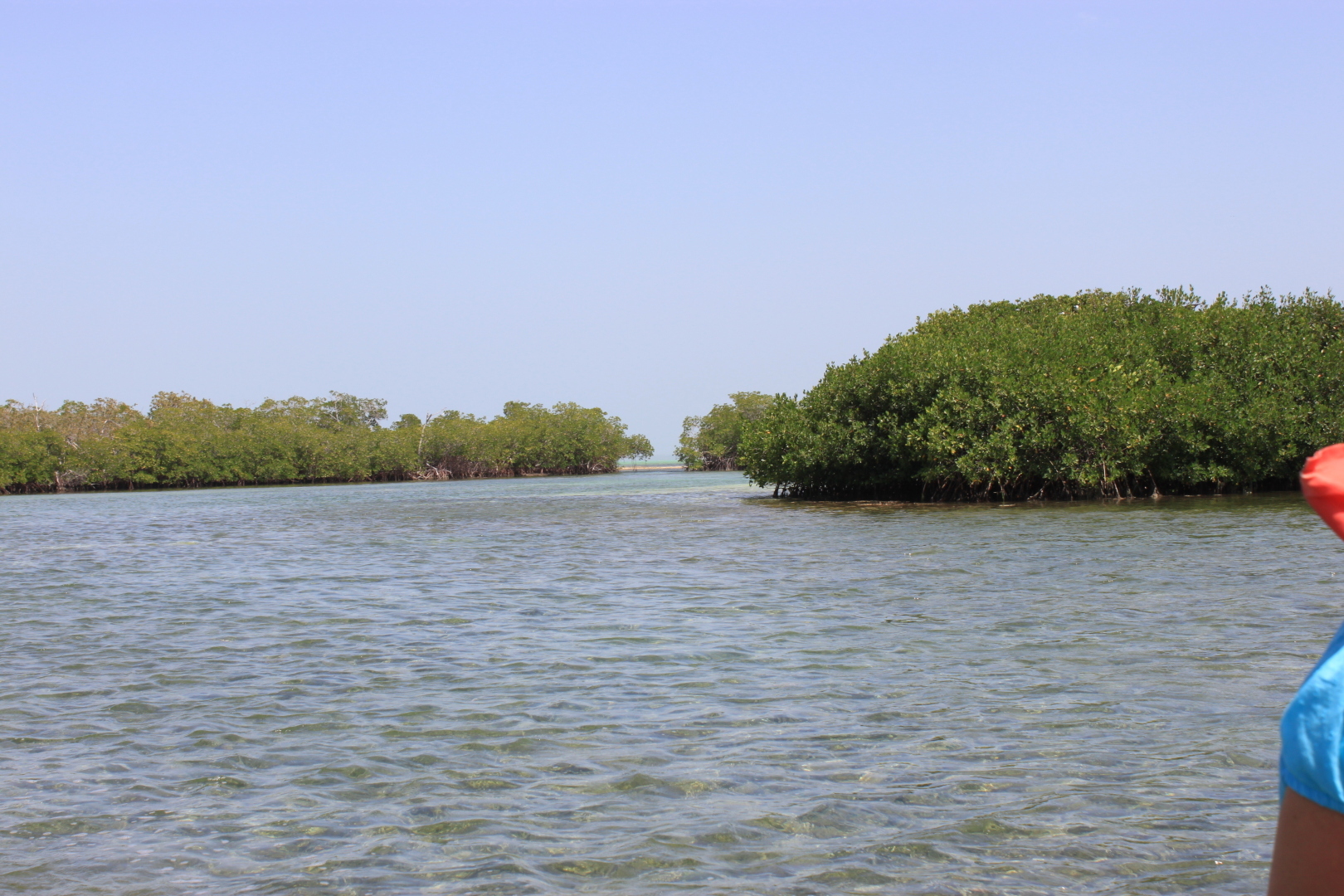 Мое путешествие в Доминиканский рай: перелет на кукурузнике, шикарный водопад, катание на лошадях, местный колорит. Фотообзор. Часть 2