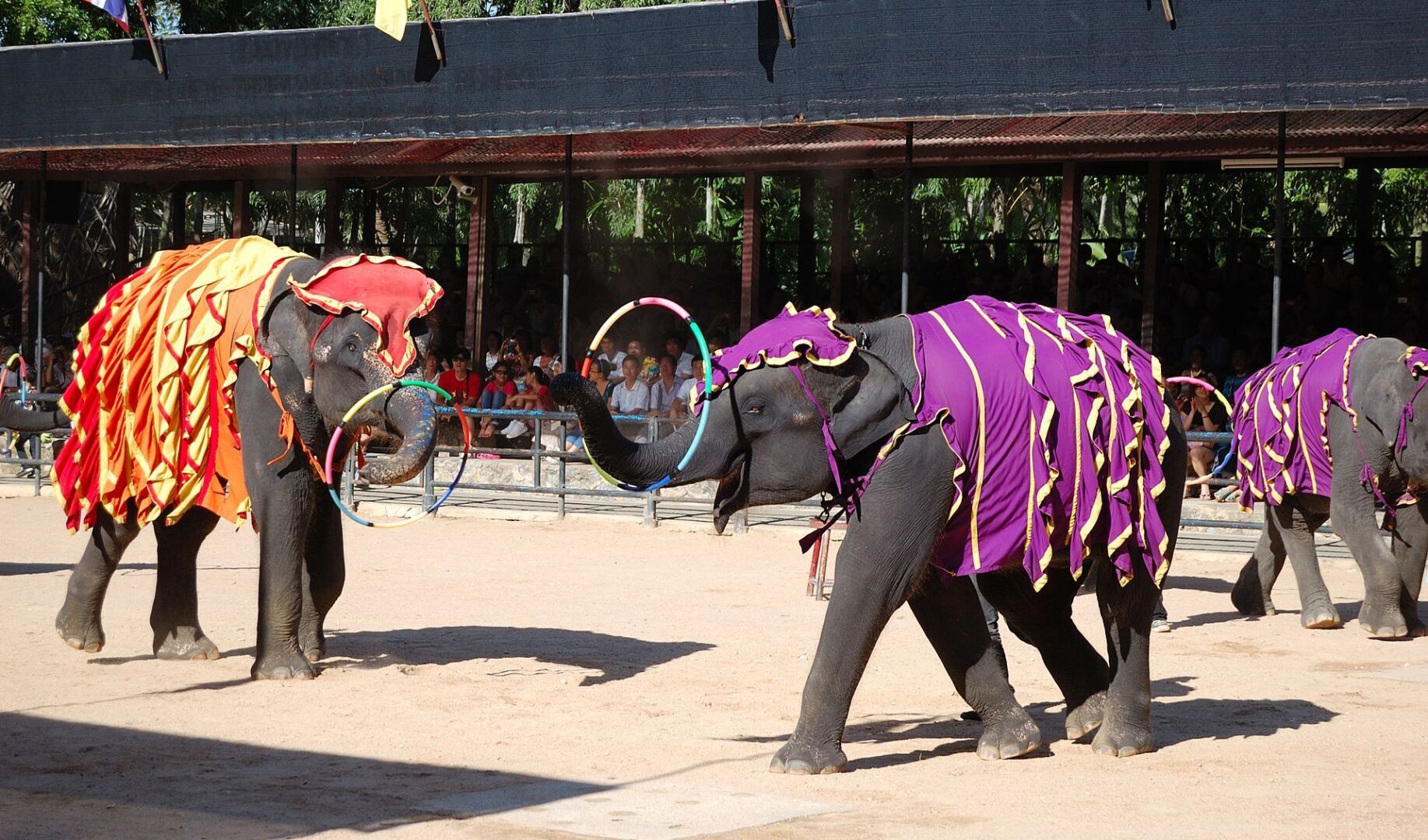 Азиатский Версаль в сердце Таиланда. Знаменитый парк мадам Нонг Нуч. Мы окунулись в настоящую сказку