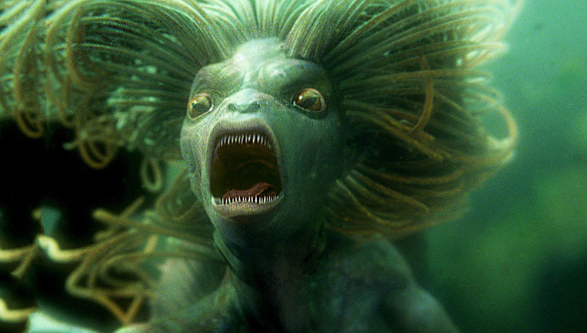 Дьявол в магии Карлоса Кастанеды!