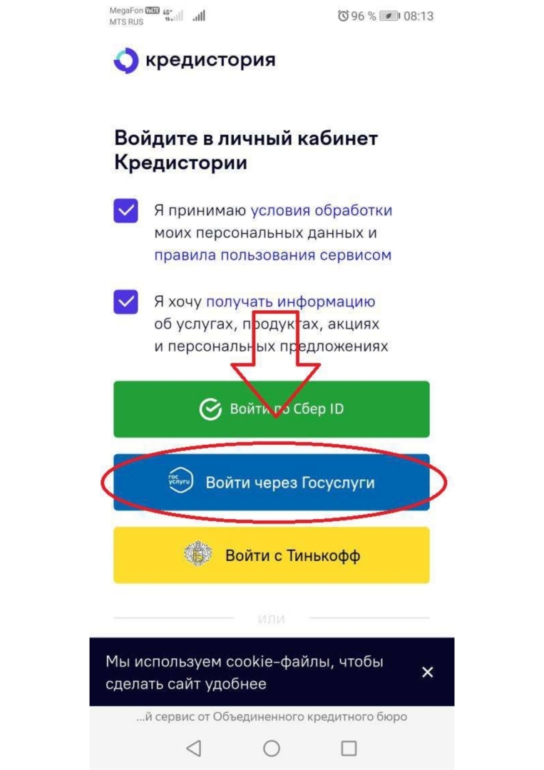 «Долги по кредитам»: платить или не платить? Как вы думаете, что выбрала я?