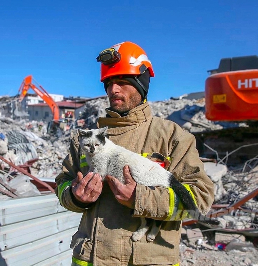 В Турции пожарный спас Щебень