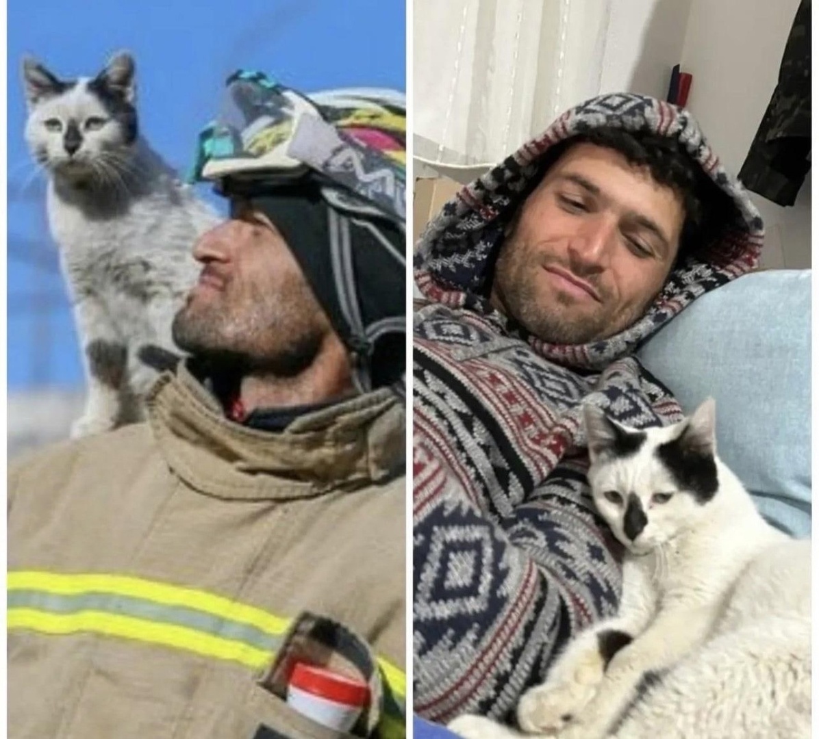 В Турции пожарный спас Щебень