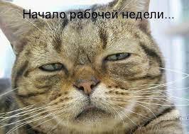 Как полюбить понедельник и начать неделю с позитивом