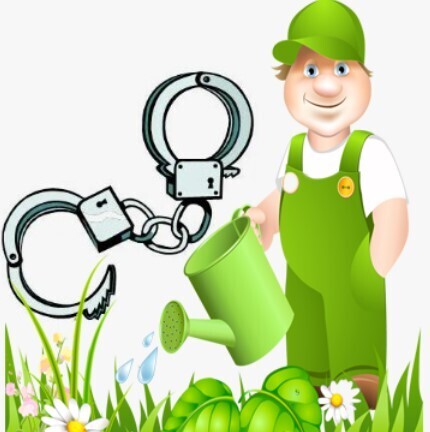 Садоводы (и не только), внимание: растения, которых по закону не должно быть на ваших дачах в 2024 году