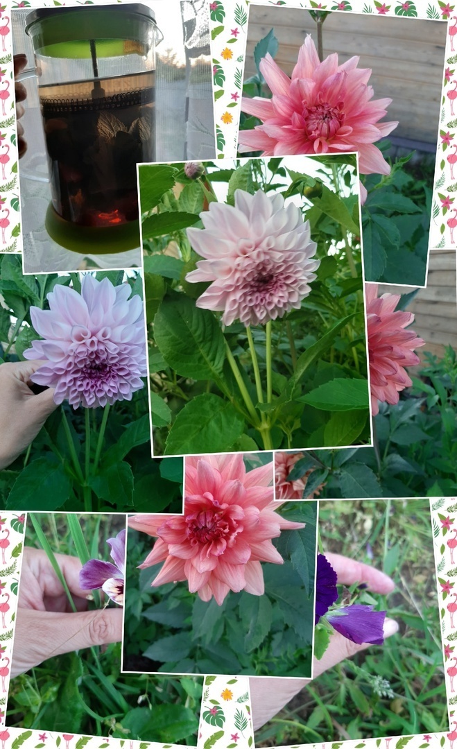 Правовые особенности пользования дачей: как утилизировать мусор и разжигать мангал? Личный опыт и практические советы