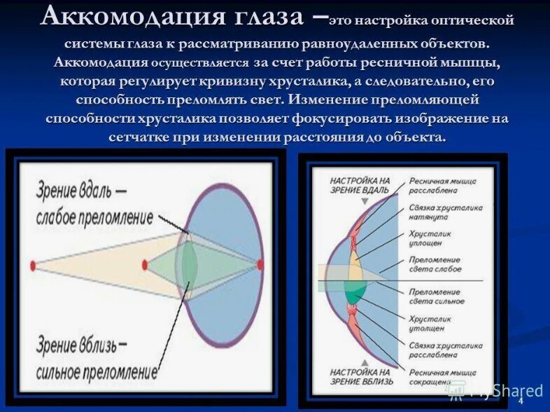 Возрастные изменения органов зрения.
