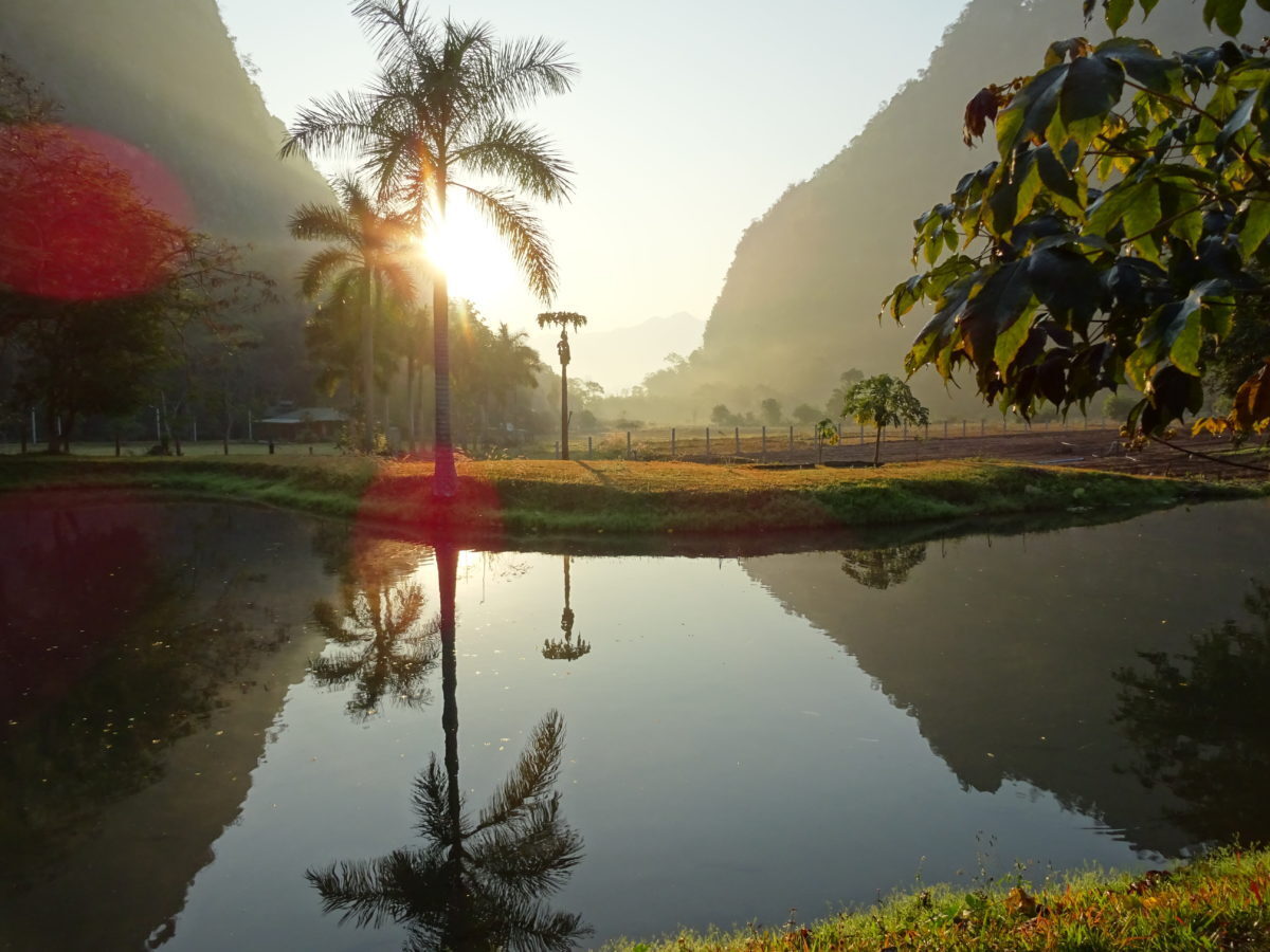 Новичок в тайском монастыре.