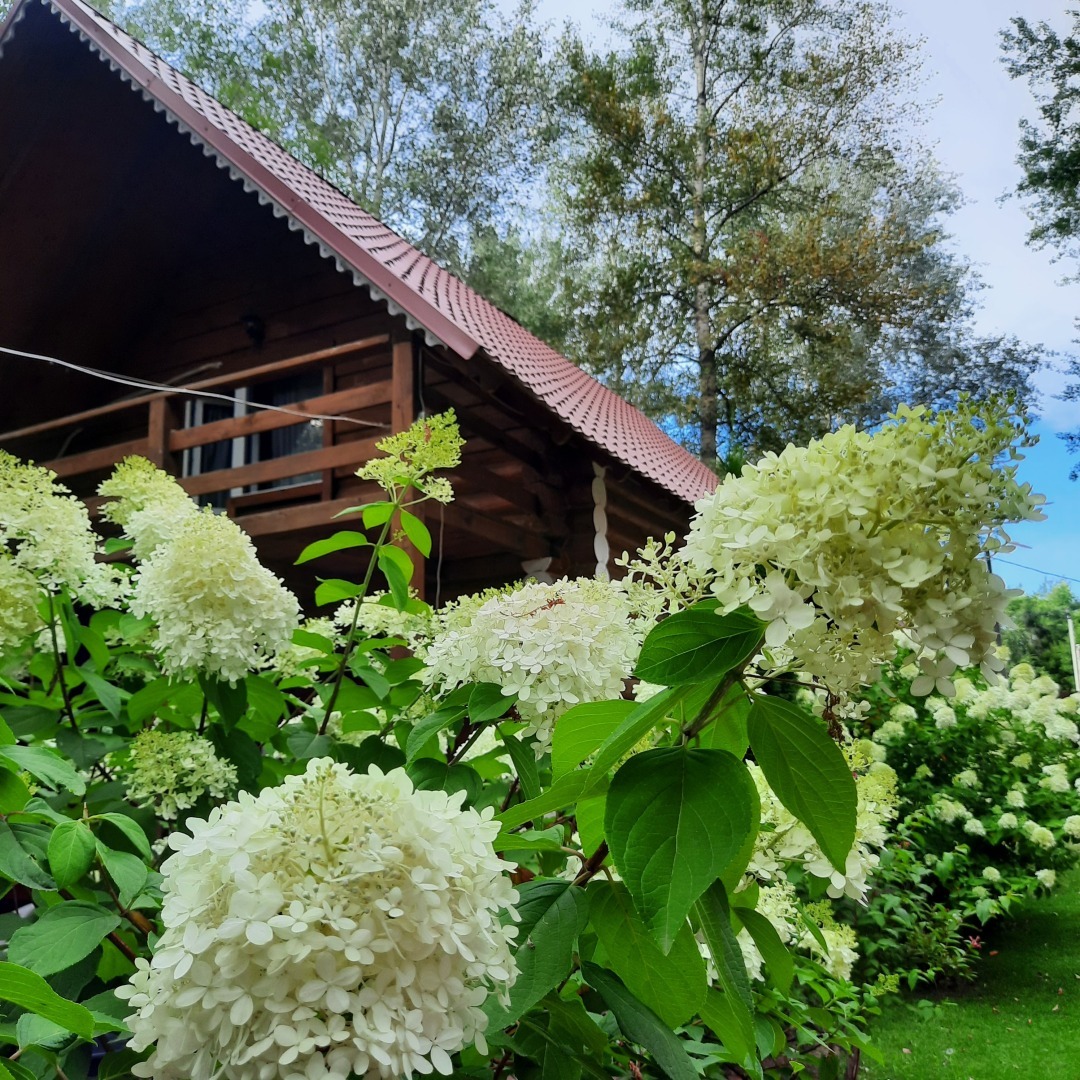 Любимая Малиновка. Отдых в октябре, ноябре, мае и летом. Мои фотографии.