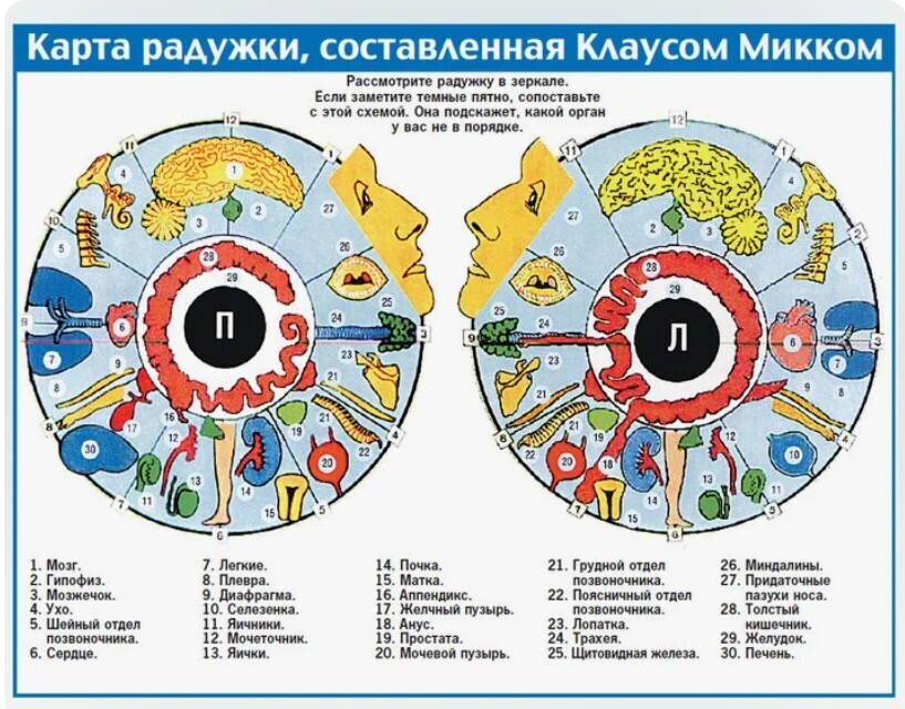 Иридодиагностика. Процедура определения болезней по глазам.