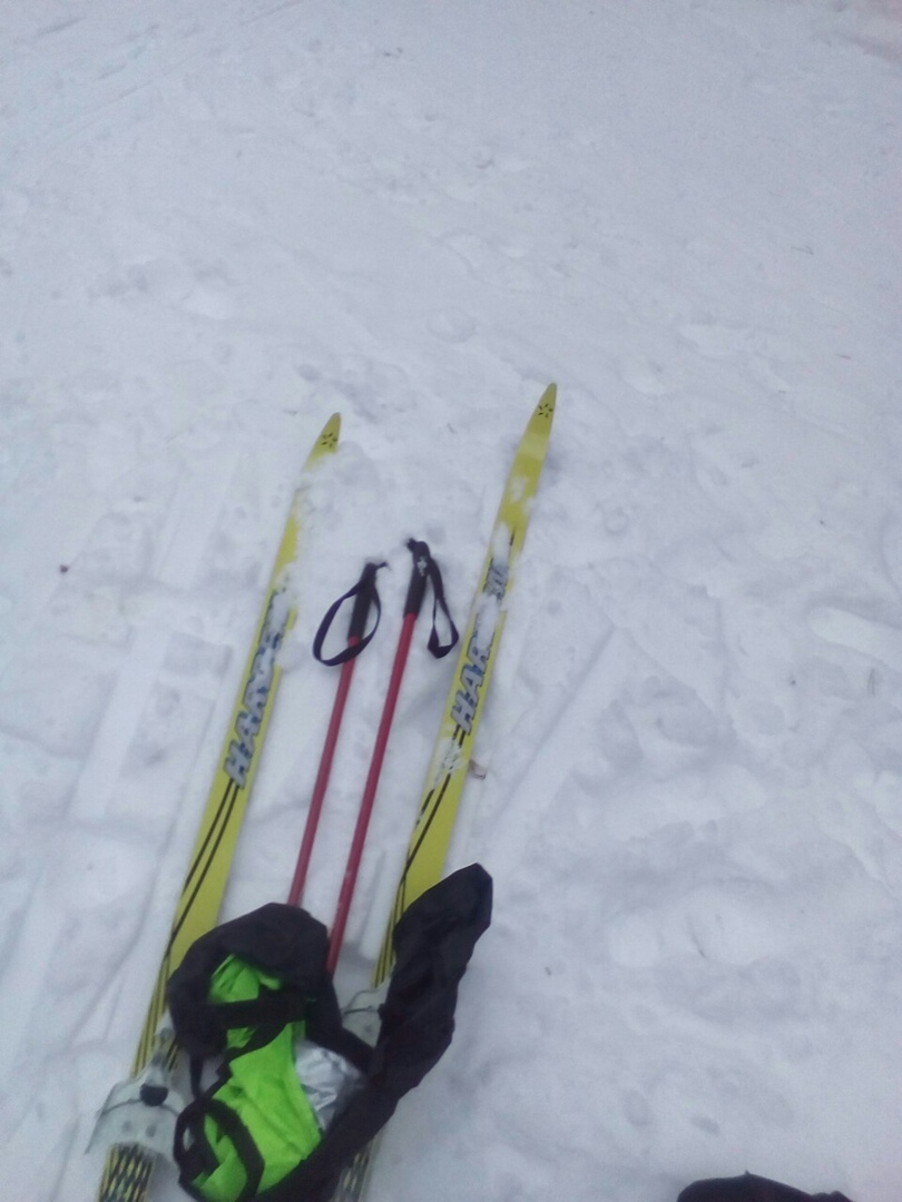 Мой отдых выходного дня: Ягринский бор и окрестности, масса приятных впечатлений. Личный опыт и фото