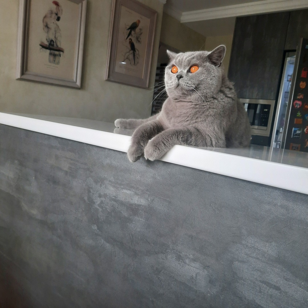 Животные моего города. Небольшой фоторепортаж.