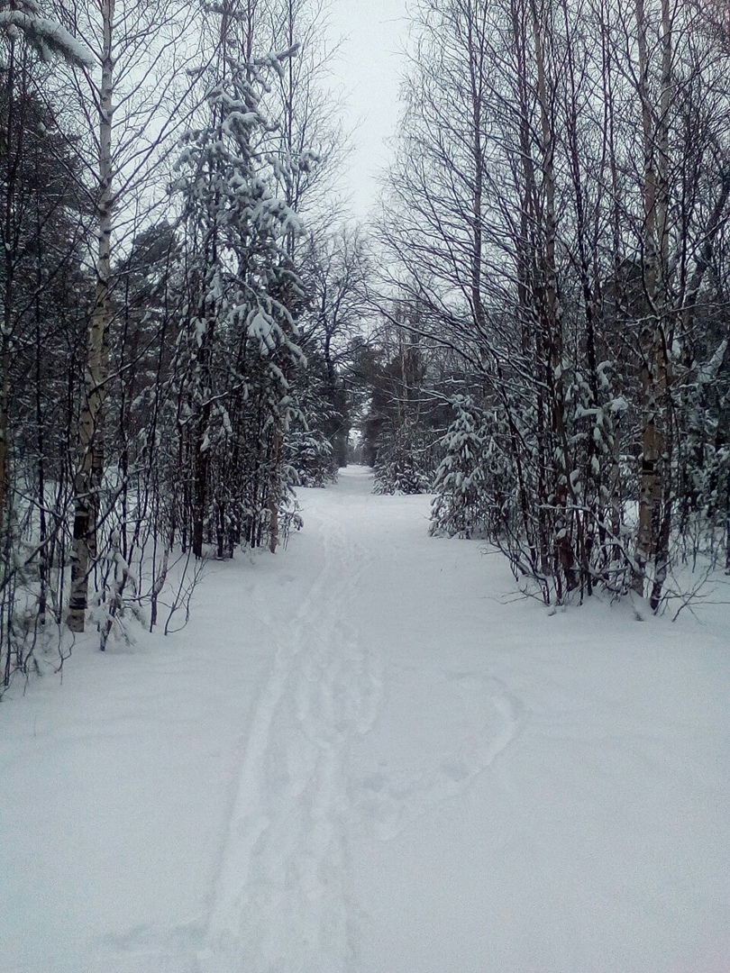 Мой отдых выходного дня: Ягринский бор и окрестности, масса приятных впечатлений. Личный опыт и фото