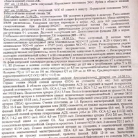 Выписной ростов.jpg1.jpg