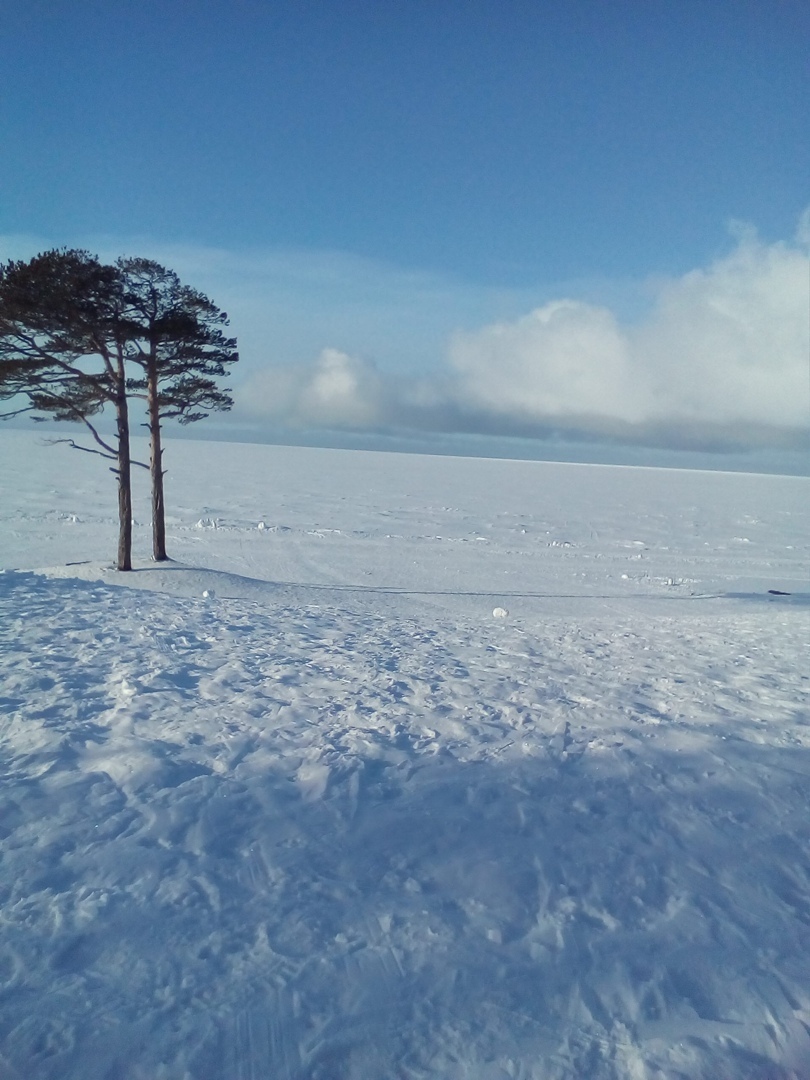 Мой отдых выходного дня: Ягринский бор и окрестности, масса приятных впечатлений. Личный опыт и фото