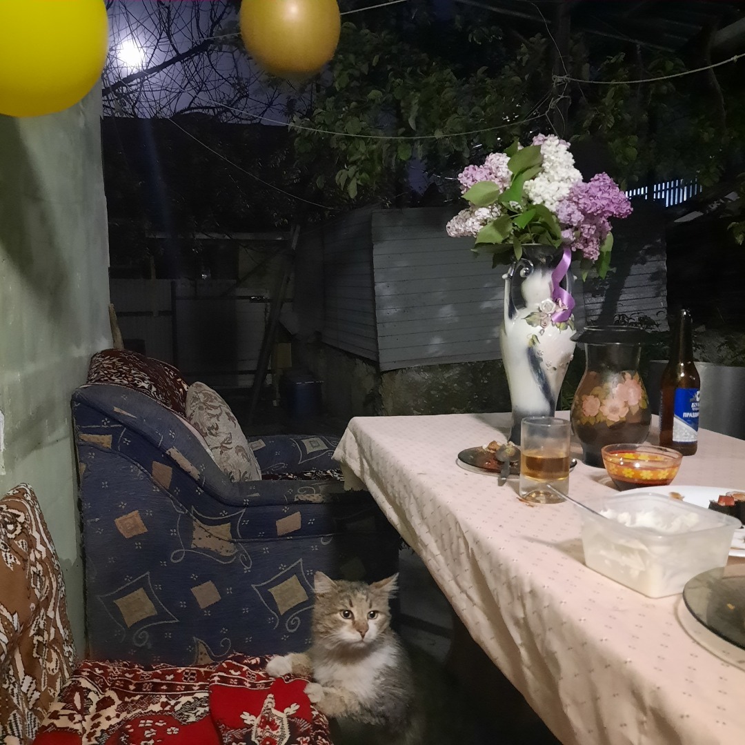 Животные моего города. Небольшой фоторепортаж.