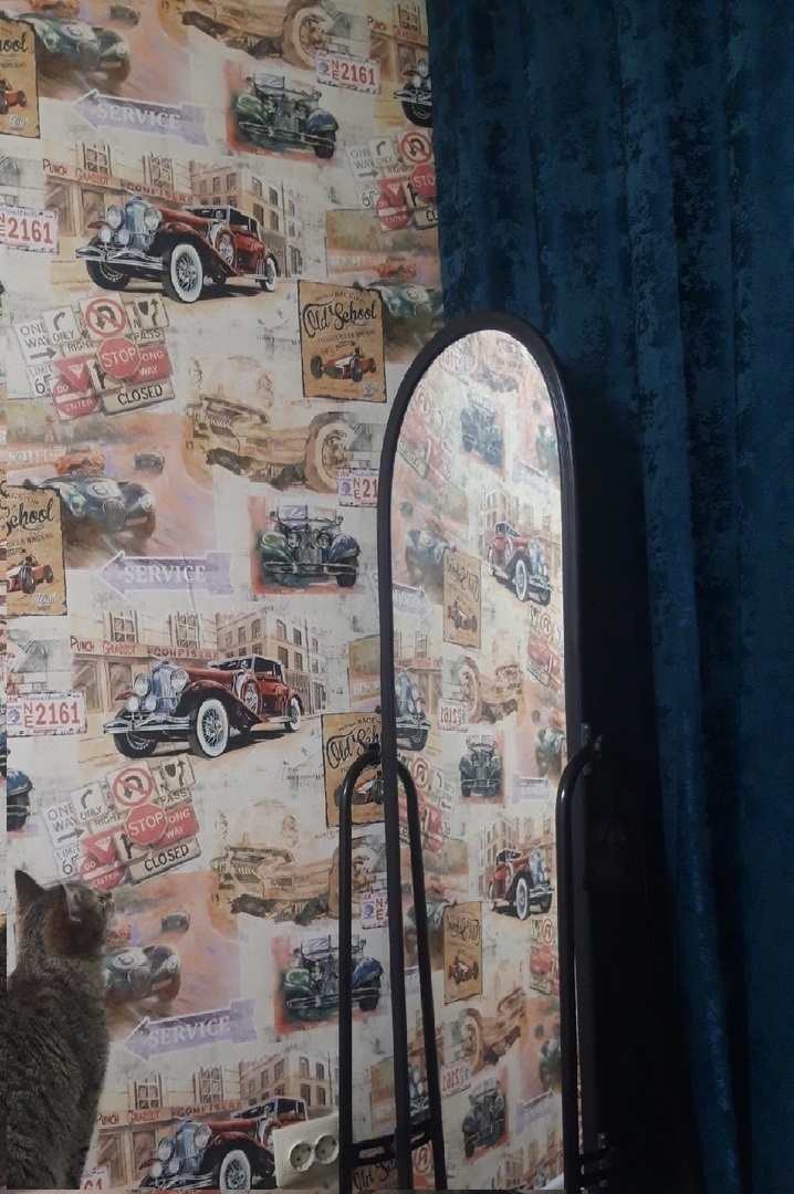 1 марта -День кошек!!!