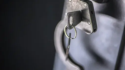 Аргентина выдала России сбежавшую риэлторшу