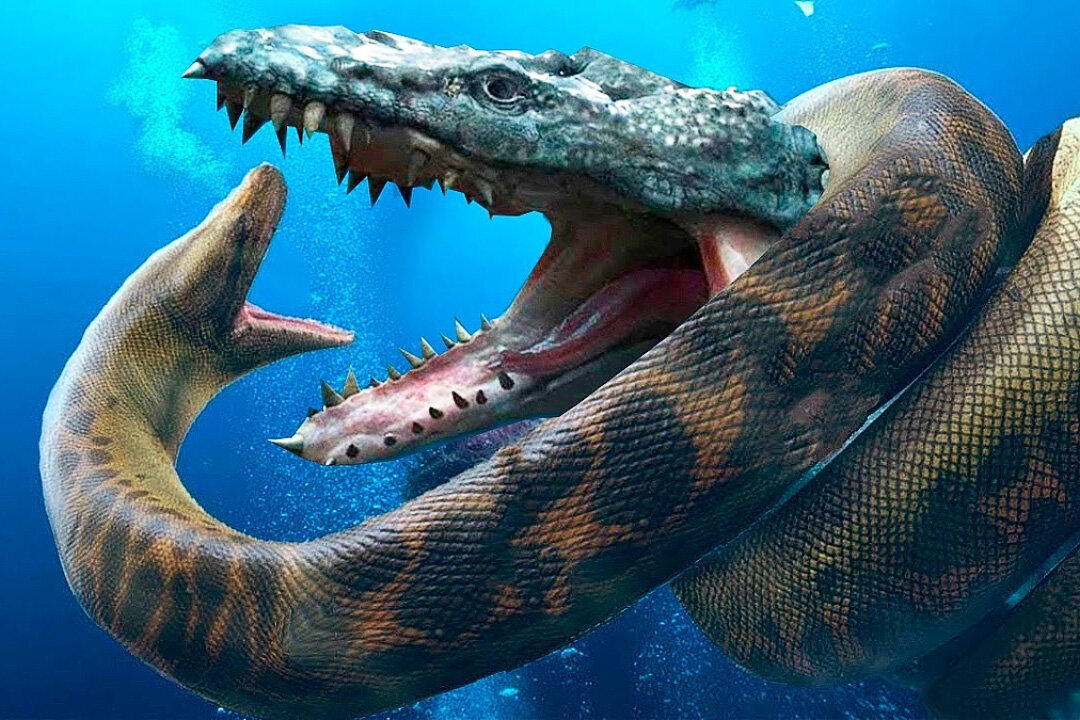 Самая большая змея на Земли. унекалный вид змея.