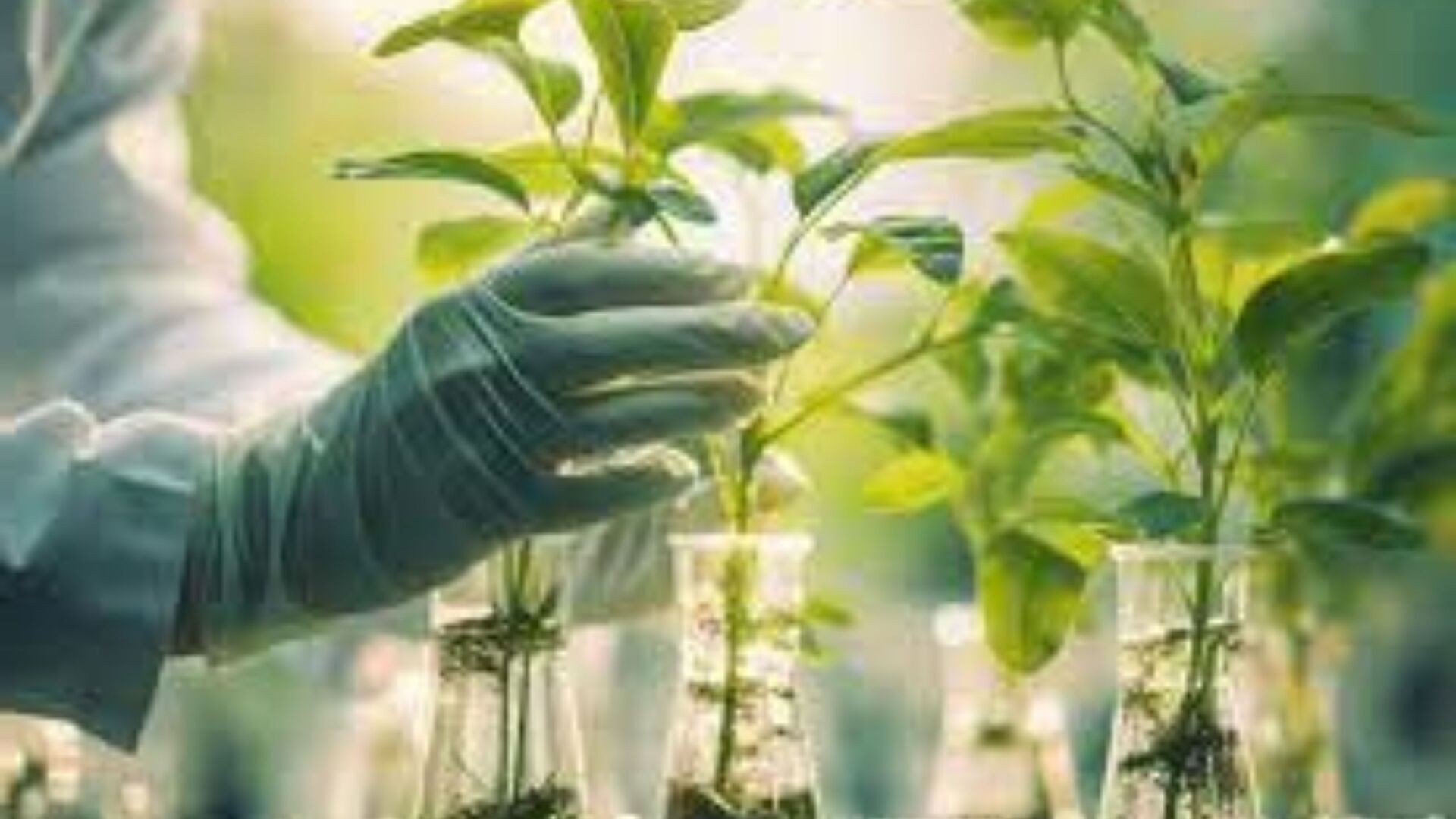 Какой была бы наша жизнь без современных технологий.