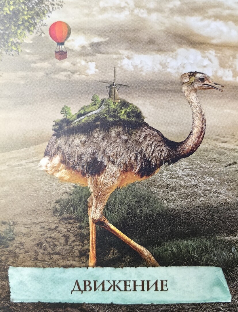 Оставьте в прошлом все свои страхи и сомнения, самое время сделать шаг вперед!