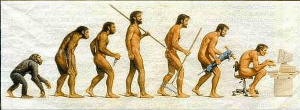 Труд создал из обезьяны человека