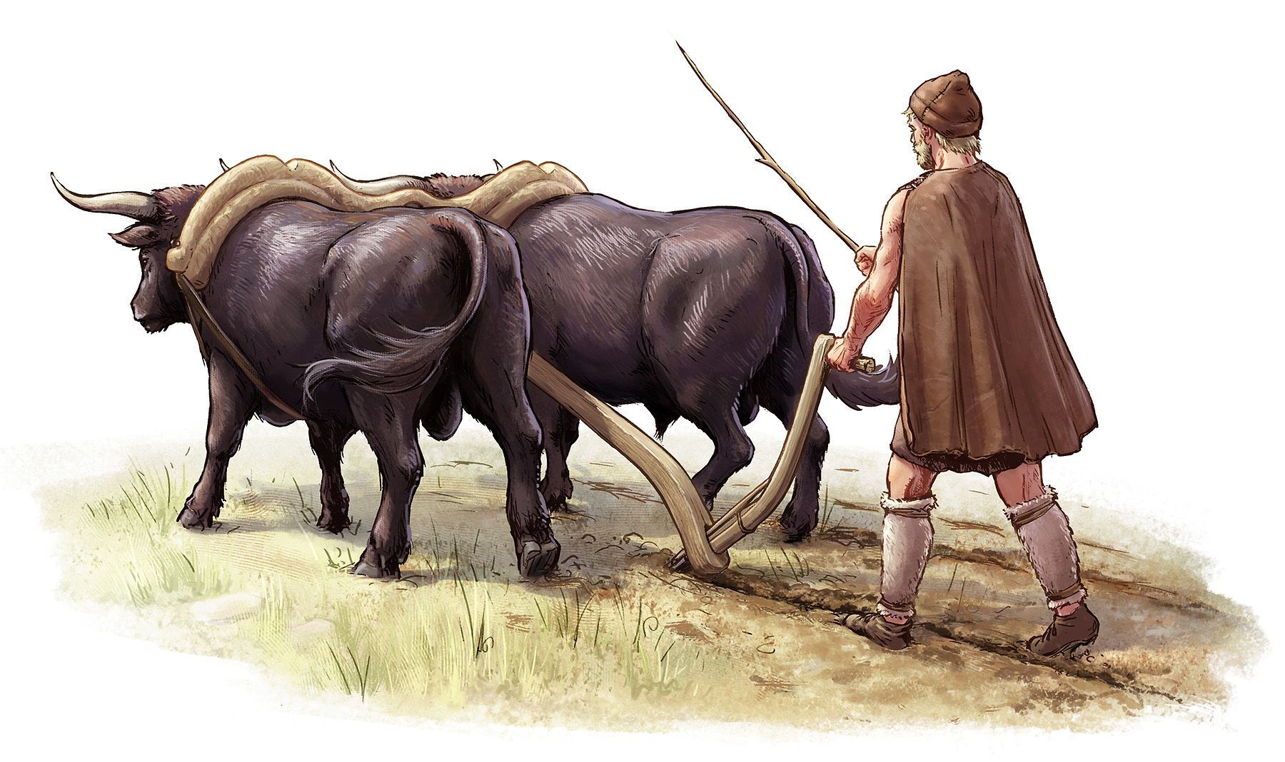 Как древний человек научился пахать