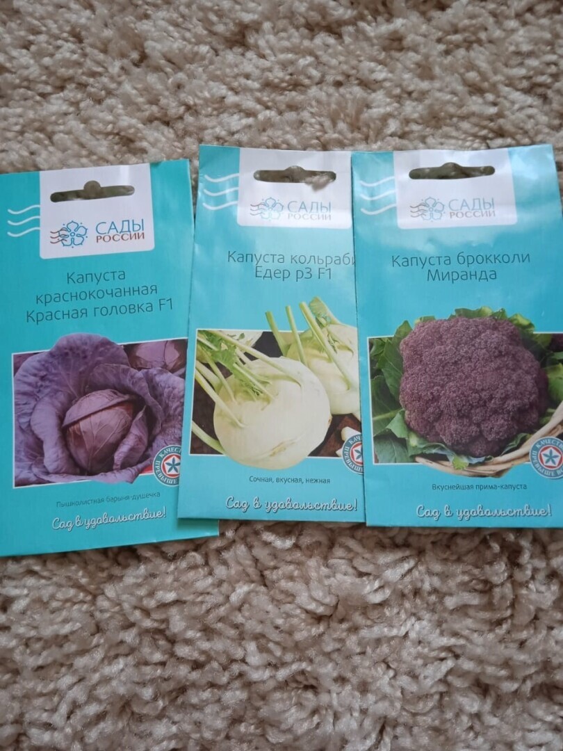 Долгожданная посылка с семенами: что интересного я получила, от ялтинского лука до вьетнамской экзотики