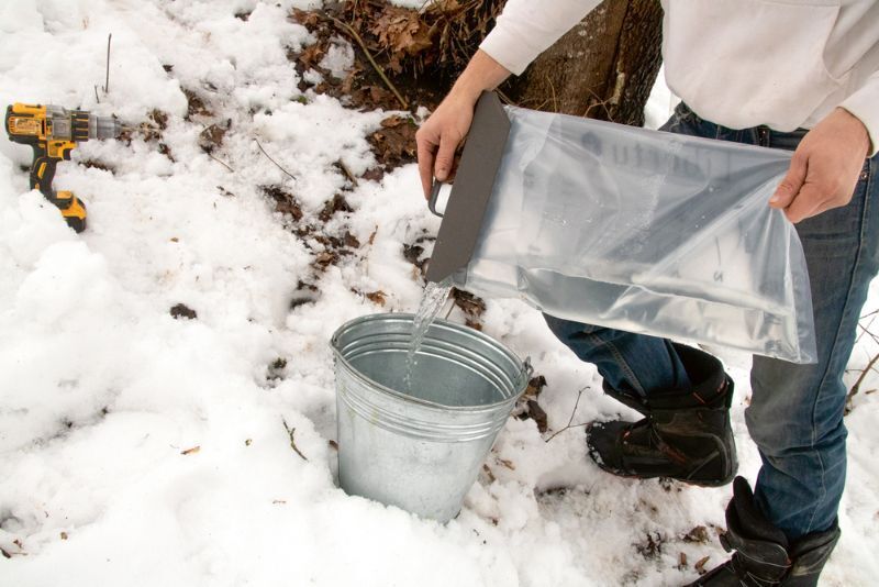 5 вещей, которые каждый должен знать о приготовлении сока: когда и как ?