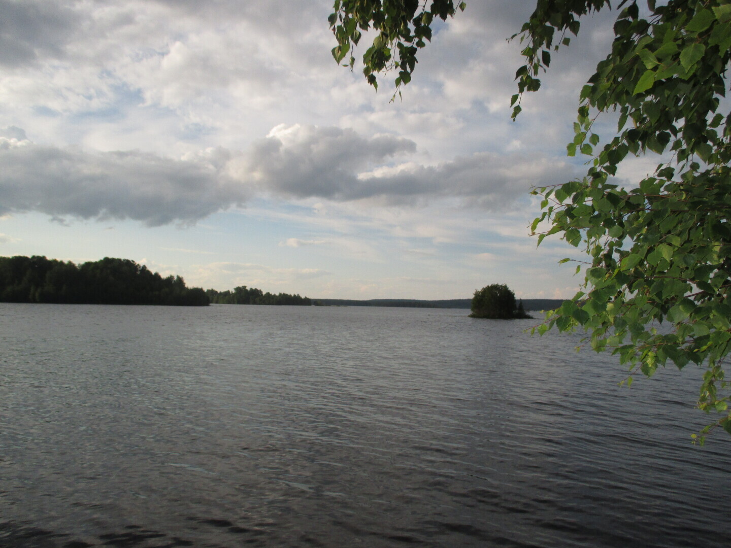 Окрестности нашей дачи (Выгозеро)