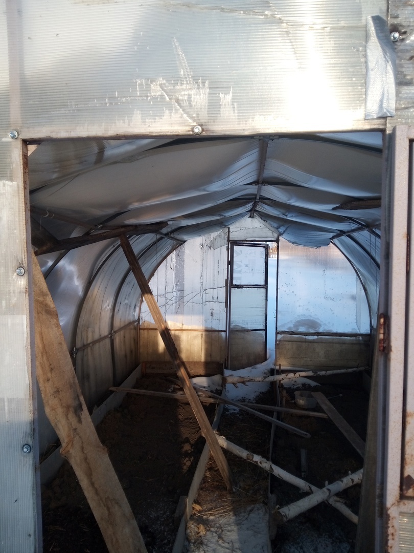 «Дача – теплица – снег скинуть» – мой привычно-вынужденный зимний ежемесячный маршрут