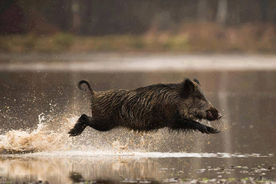 Стратегии выживания индивида в современной реальности