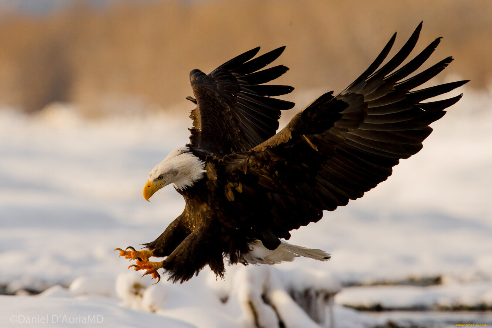 Стратегии выживания индивида в современной реальности