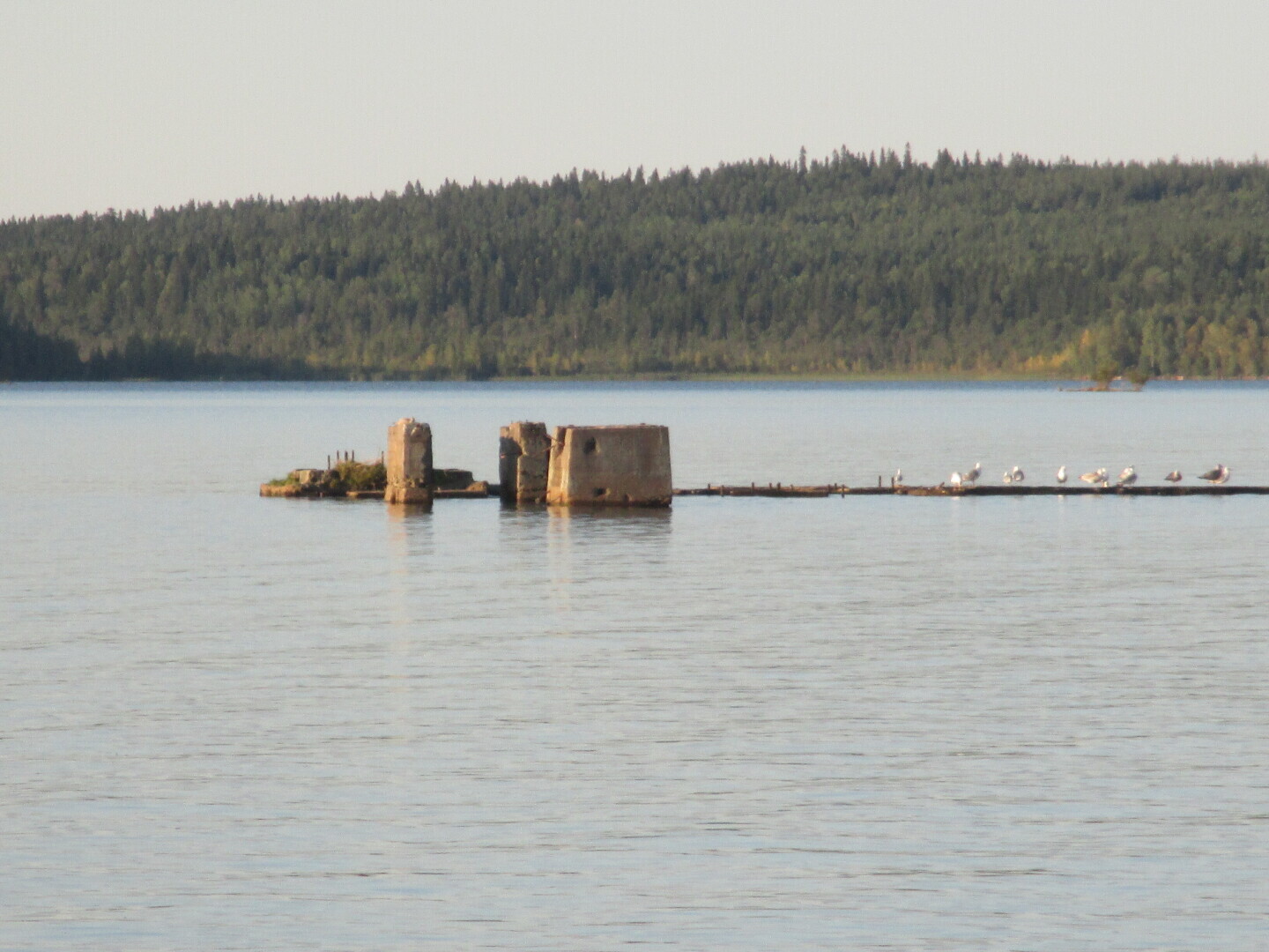 Окрестности нашей дачи (Выгозеро)