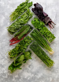 Как заработать, выращивая зелень на дому?