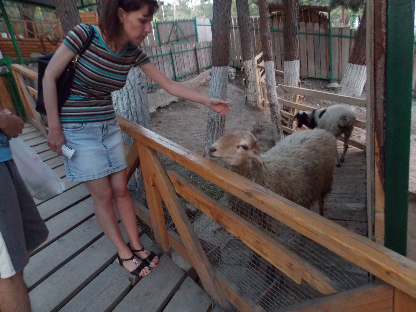 Наша поездка в парк Олимп. Геленджик. Канатная дорога, мини-зоопарк, колесо обозрения и чудесный вид на бухту!