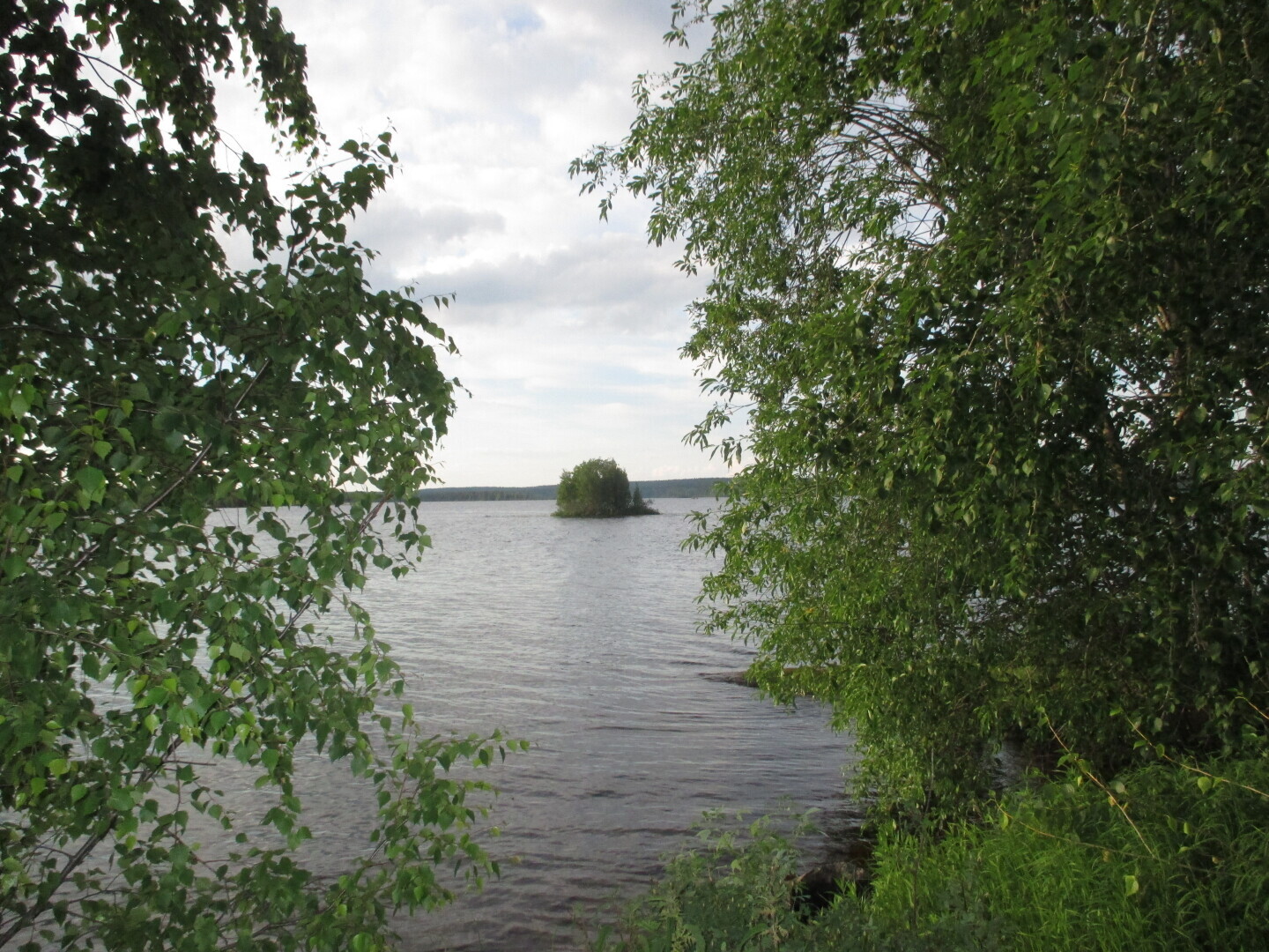 Окрестности нашей дачи (Выгозеро)