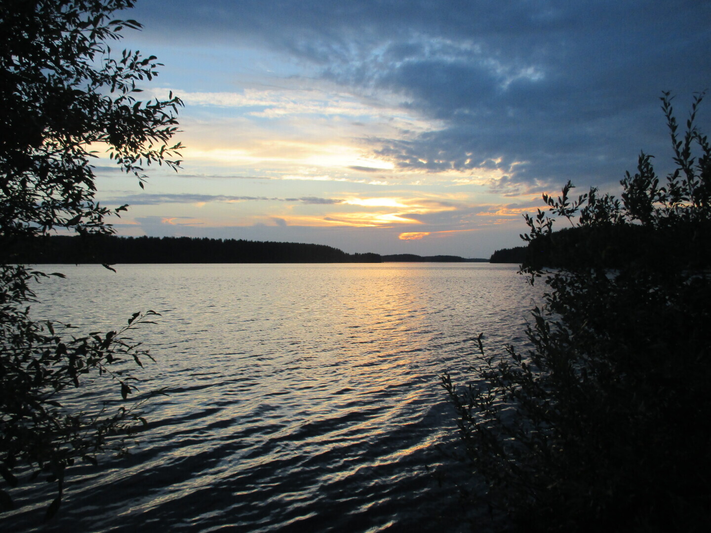 Окрестности нашей дачи (Выгозеро)