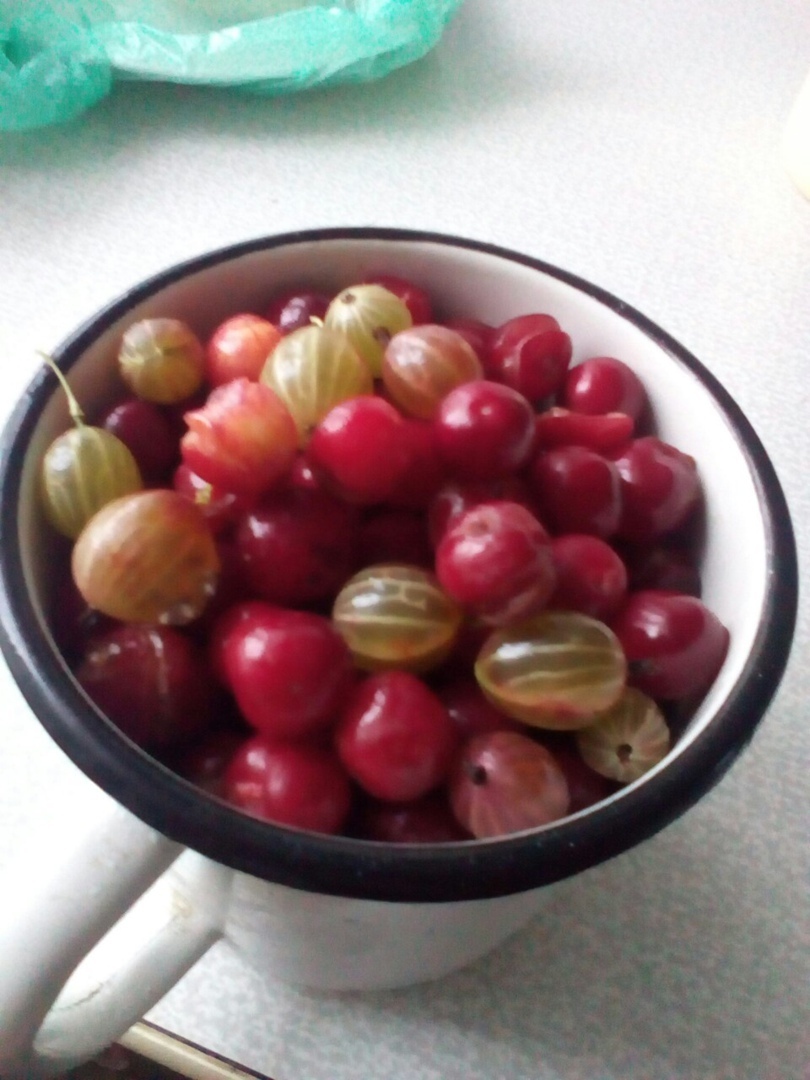 Что можно вырастить на своем земельном участке: красота и польза. Мой личный опыт.