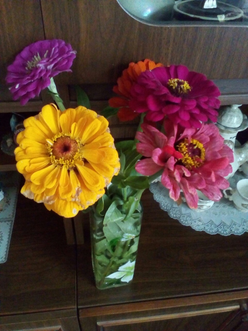 Мой летний отдых в деревне: лучшие моменты, воспоминания о позитивном и прекрасном