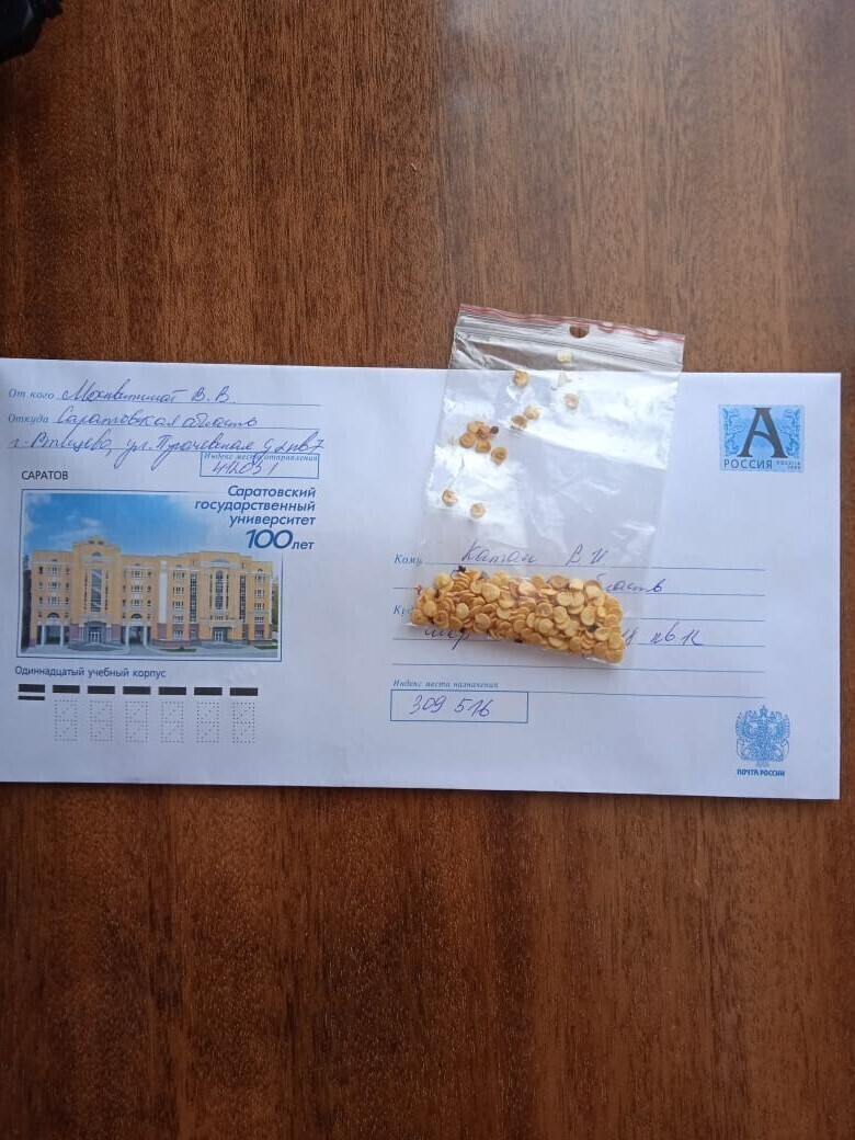 Мой первый удачный опыт обмена семенами через дачную ярмарку: как бесплатно получить семена сладкой бахчи к новому сезону