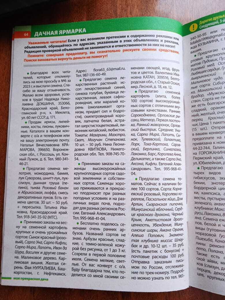 Мой первый удачный опыт обмена семенами через дачную ярмарку: как бесплатно получить семена сладкой бахчи к новому сезону