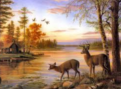 Природа и ее уникальность.