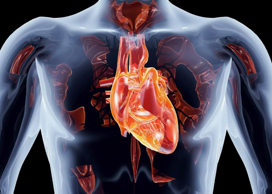 Что такое артериальное давление?