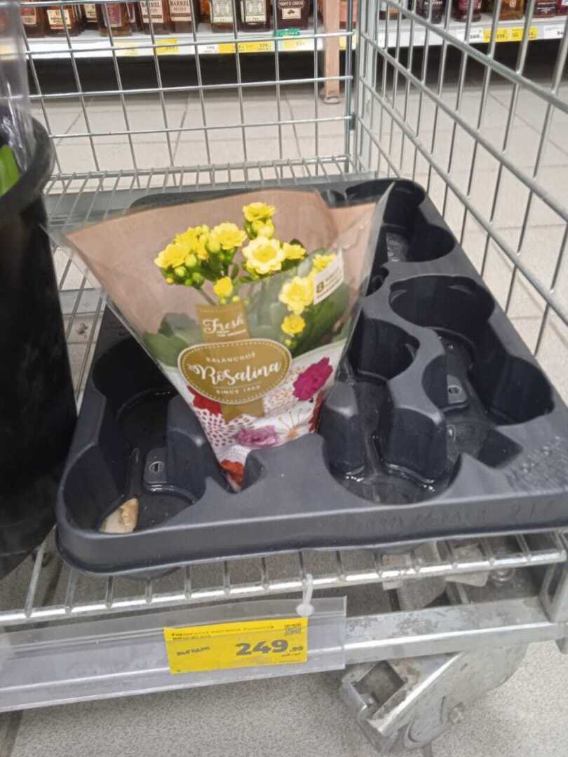 Какова цена букета на 8 Марта в 2024 году: обзор цен в торговых сетях Магнит и Пятерочка, что и по какой цене предлагают к празднику