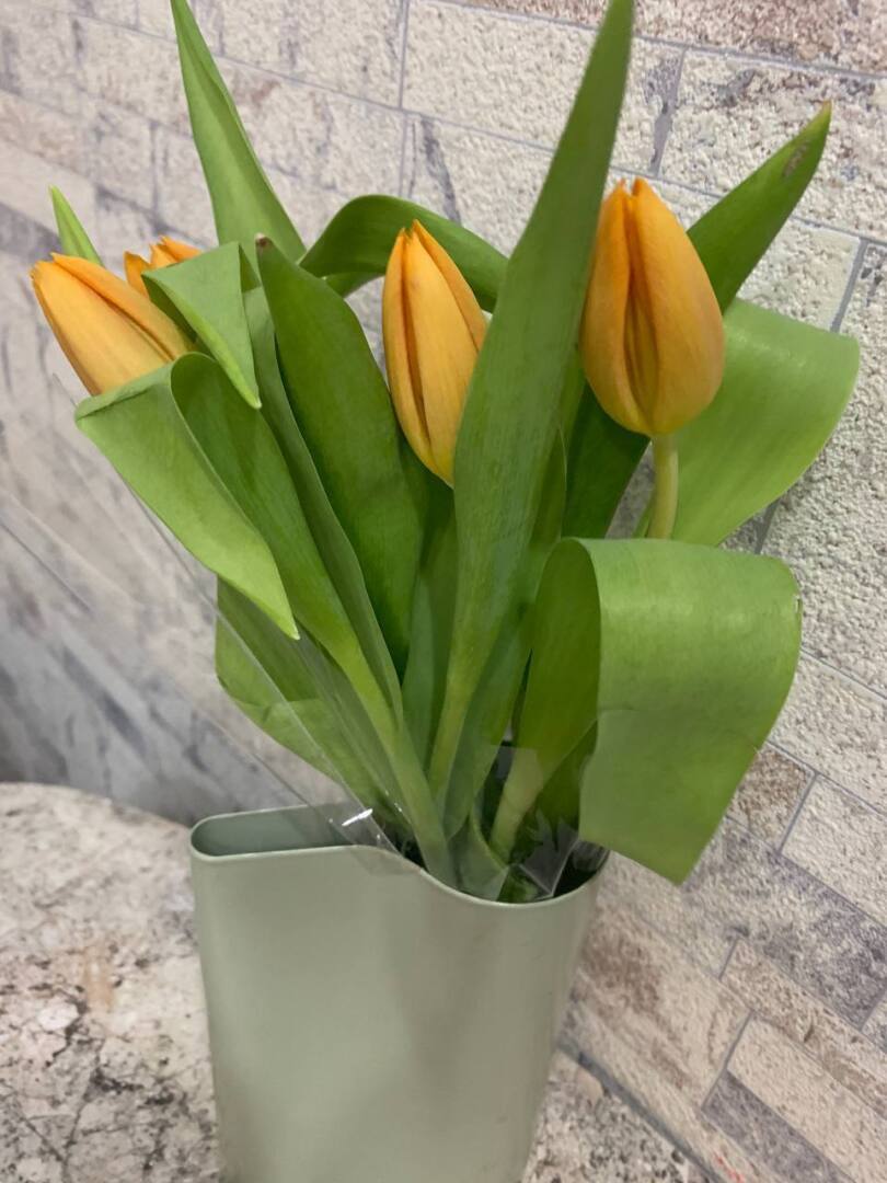 Инвалиды и пенсионеры – божьи одуваны!? Как поменялось мое мнение